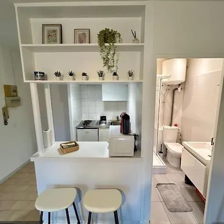 Le Douillet, Proche Gare Et Metro * Tuluza