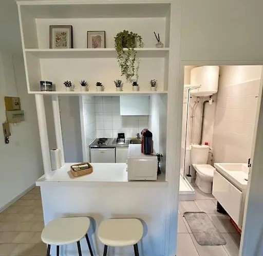 Le Douillet, Proche Gare Et Metro * Toulouse